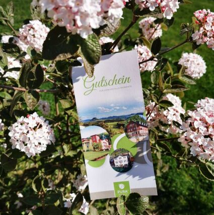 Gutscheine für Forsthaus, Parkhotel Bad Schandau oder Sigl's verschenken Freude machen vom Urlaub träumen